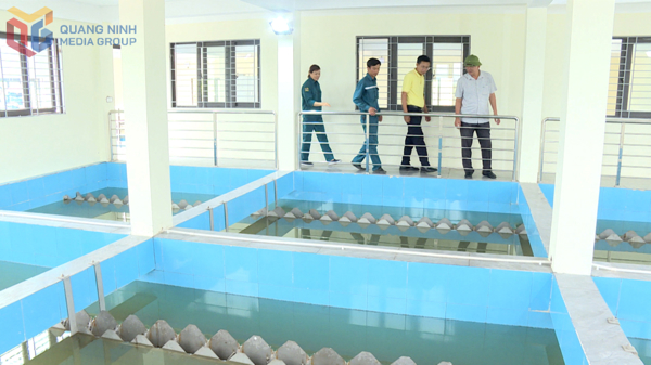 Nâng hiệu quả cung ứng nước cho nhân dân